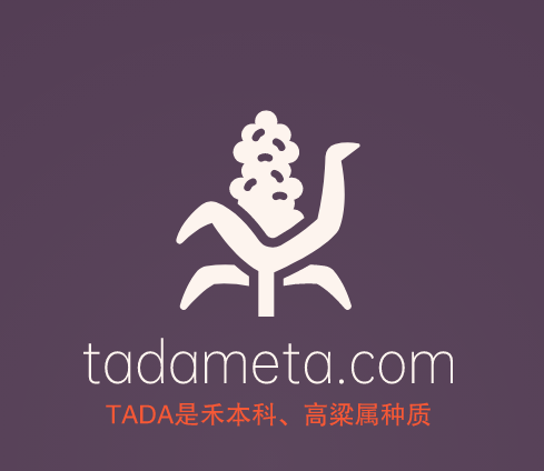 元宇宙啥域名好,tadameta.com邀你来品鉴点评